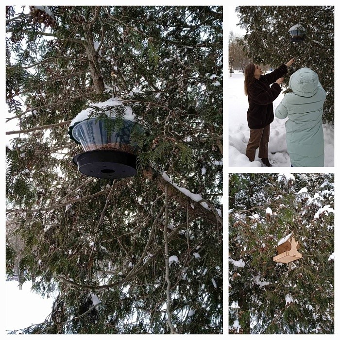 Социальная ответственность и гражданская позиция: забота о природе и обществе в зимний период