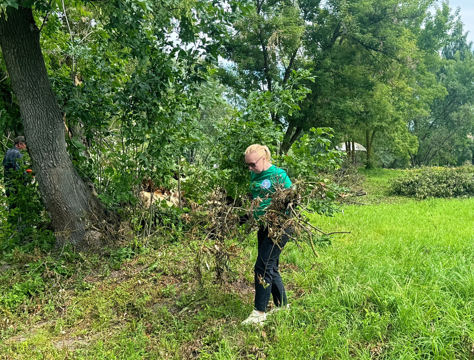 IMG_4154.jpeg IMG_4154.jpeg