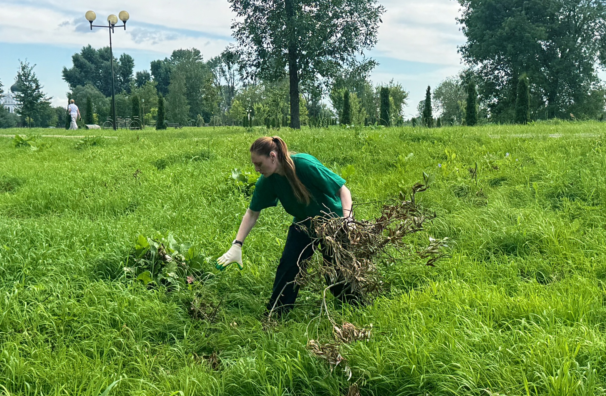 IMG_4155.jpeg IMG_4155.jpeg