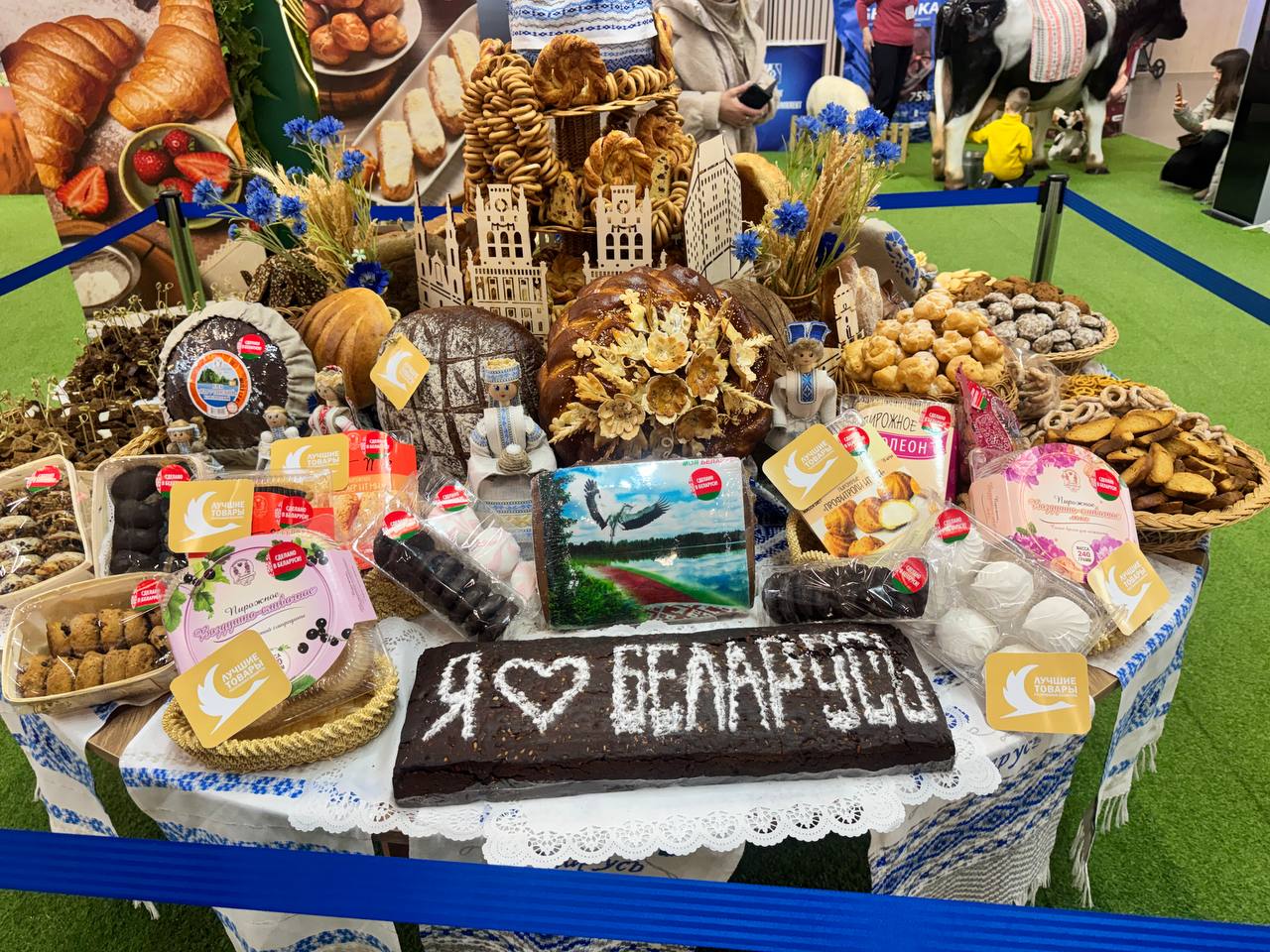 photo_5471887708222328779_y.jpg photo_5471887708222328779_y.jpg