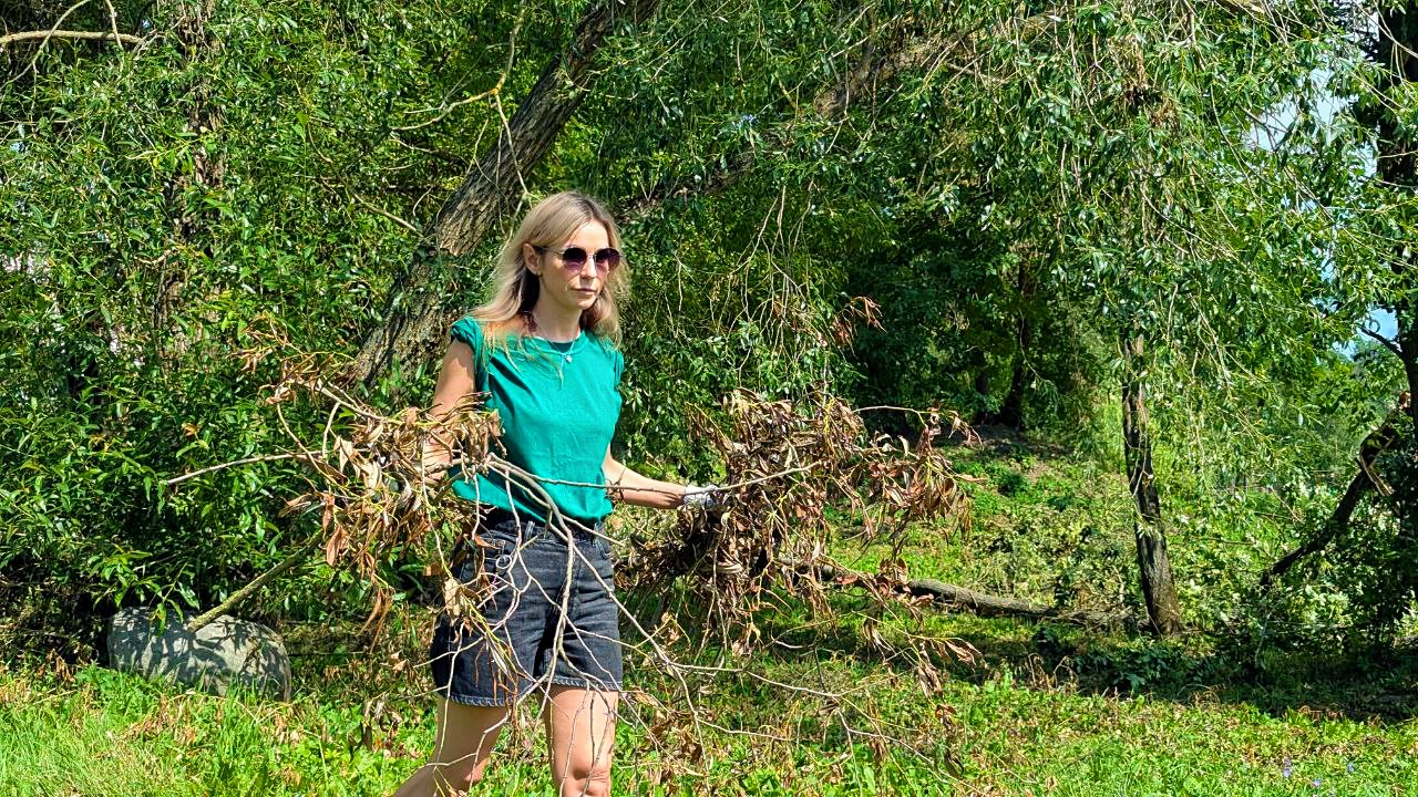 IMG_4156.jpeg IMG_4156.jpeg