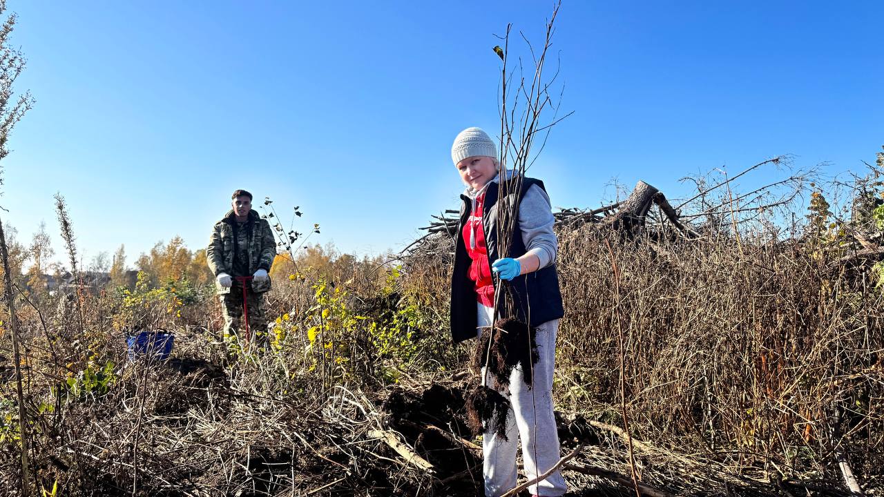 photo_8_2026-10-23_08-13-56.jpg photo_8_2026-10-23_08-13-56.jpg