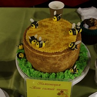 Кулинарный конкурс "О вкусной и здоровой пище" (2024)