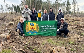 Представители Могилевского нотариального округа присоединились к республиканской акции «Лес! Дабро! Парадак!»