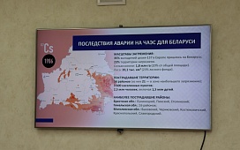 От возрождения до устойчивого развития