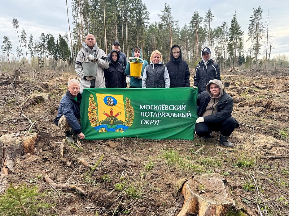 Представители Могилевского нотариального округа присоединились к республиканской акции «Лес! Дабро! Парадак!»