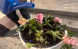 Субботник в Гродненской областной нотариальной палате и нотариальном архиве